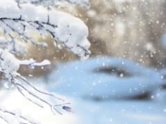 大雪