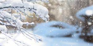 大雪