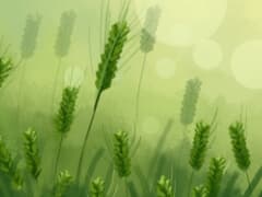 小满