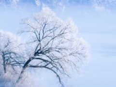 小雪