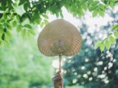 立夏