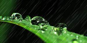 谷雨